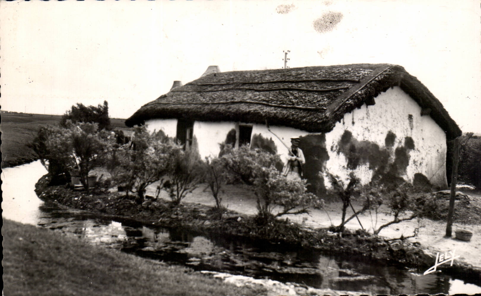 CPSM With the country of Mounts Old woman bourine of the marsh