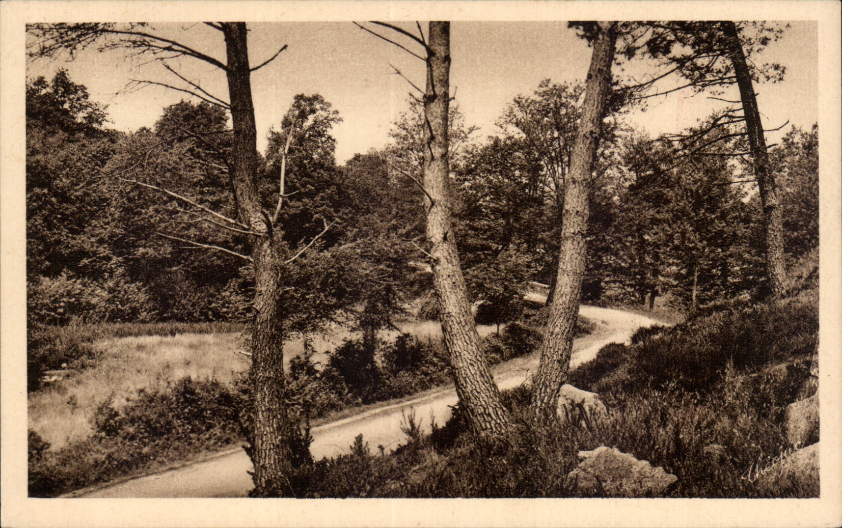 CPA the Limousin the road