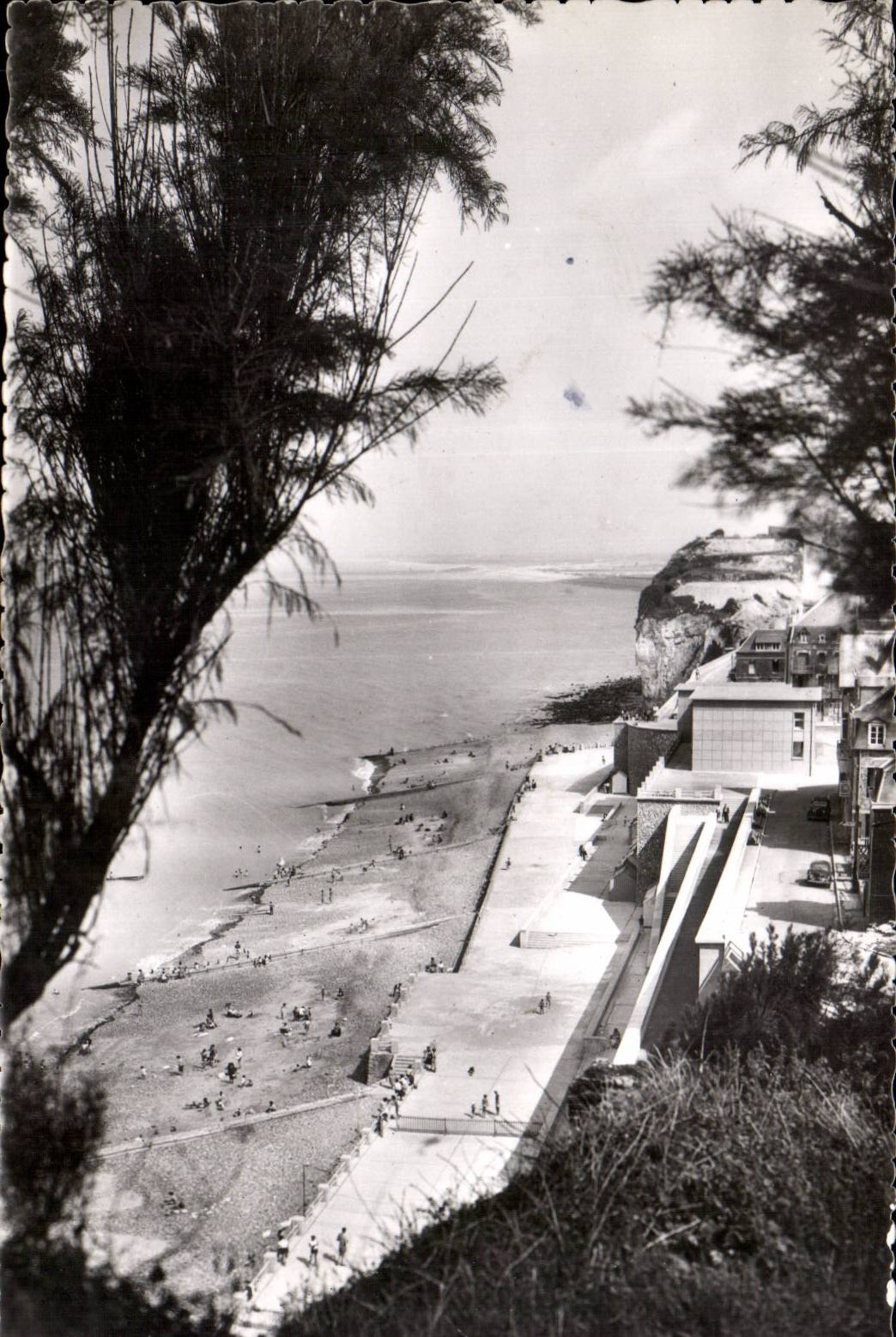 CPSM Ault onival the beach through the tamaris