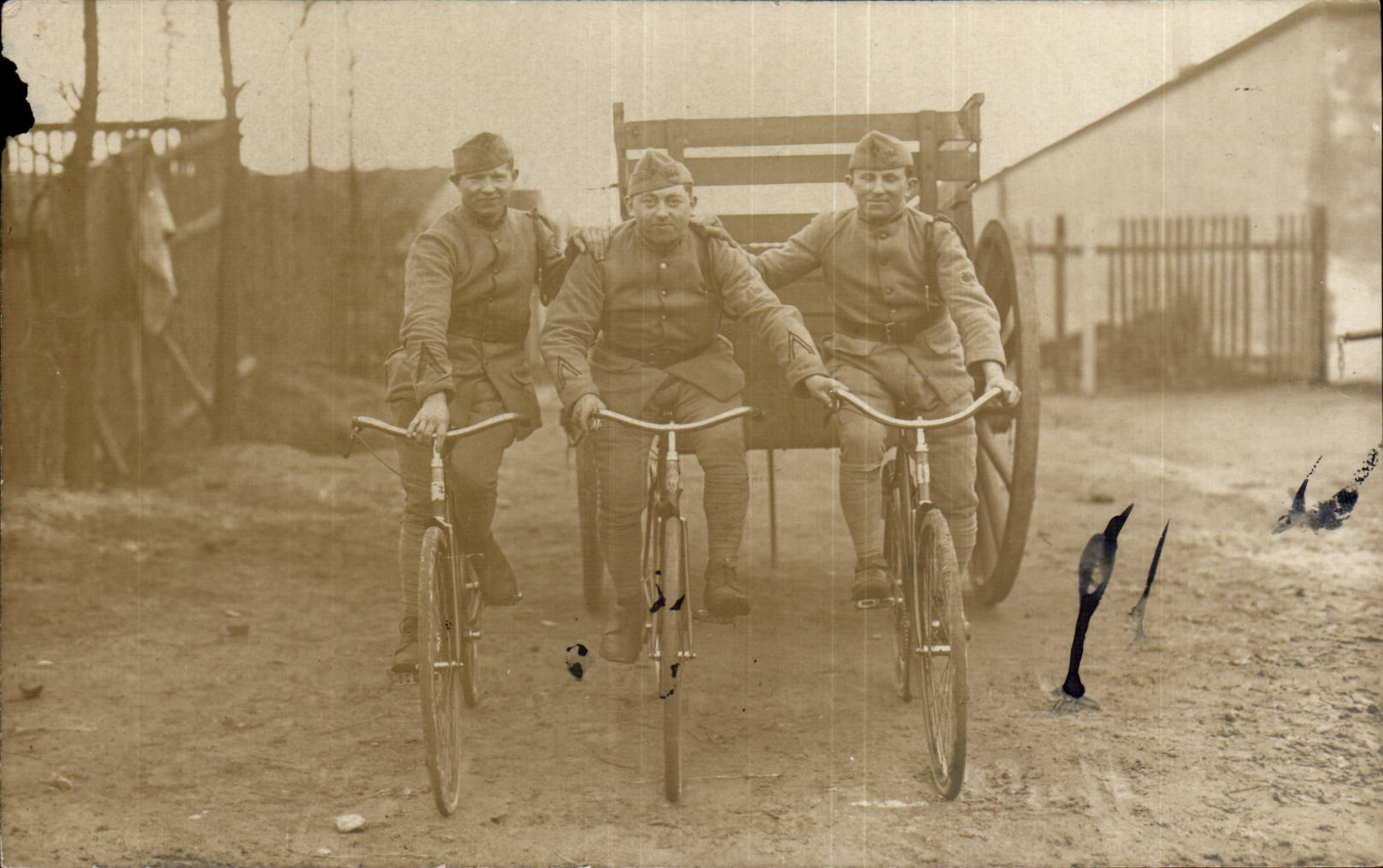 Real photo Militaria Soldiers Belgium Bicycle