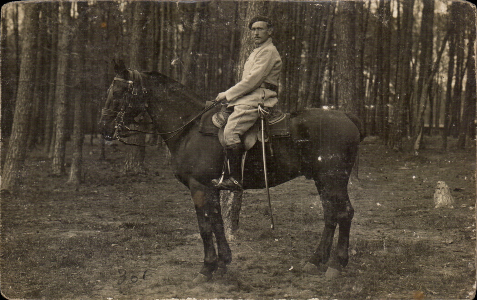 CARTE PHOTO Militaria Soldat Cavalier Cheval Horse
