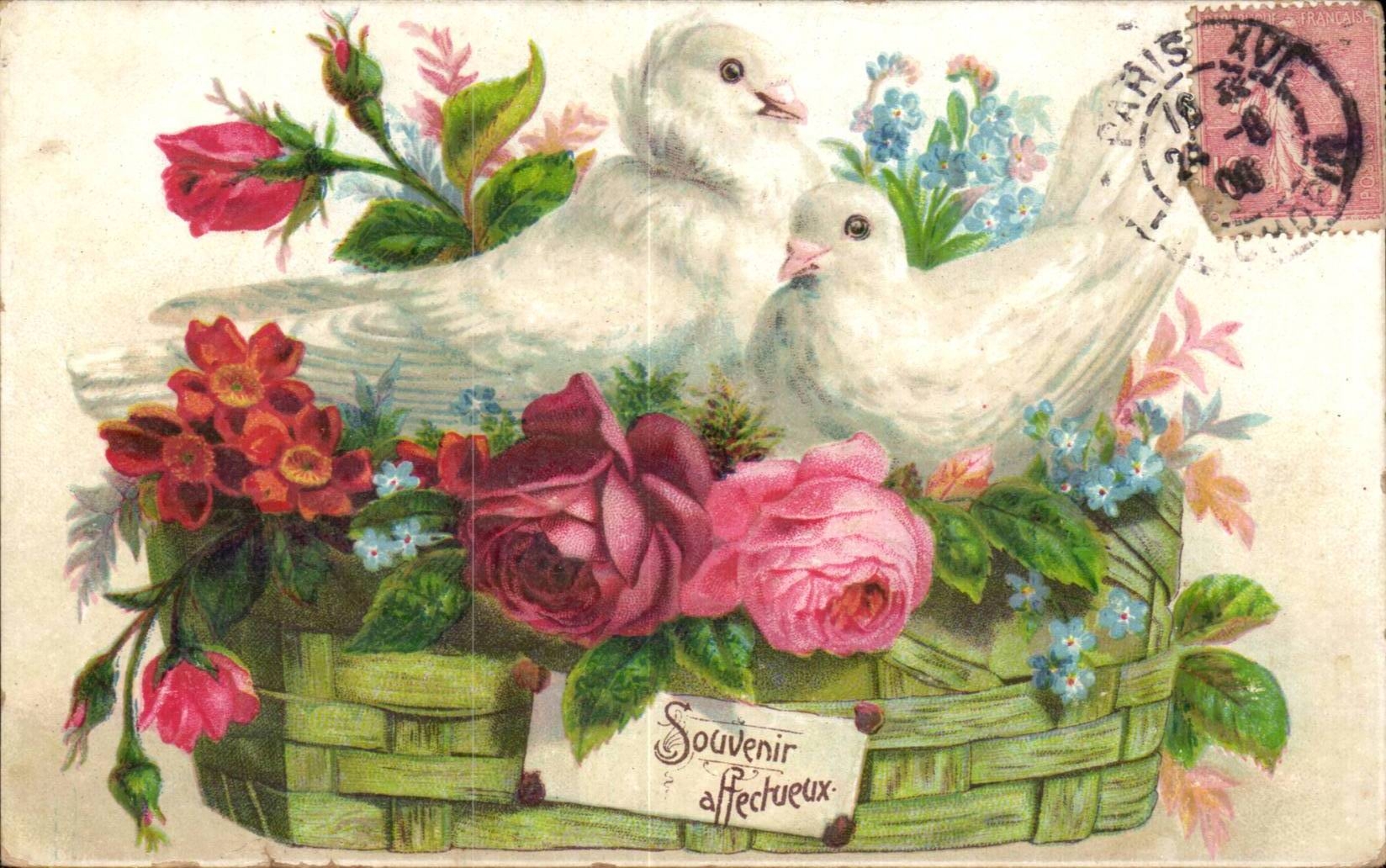 La fantasia de CPA florece el recuerdo carinoso de las palomas