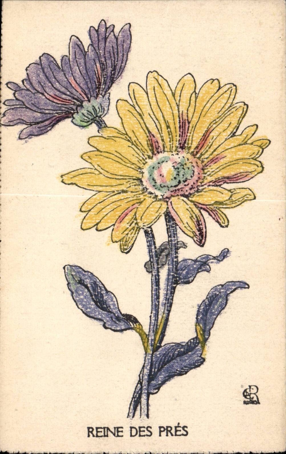 CPA Fantaisie Fleurs Reine des pres