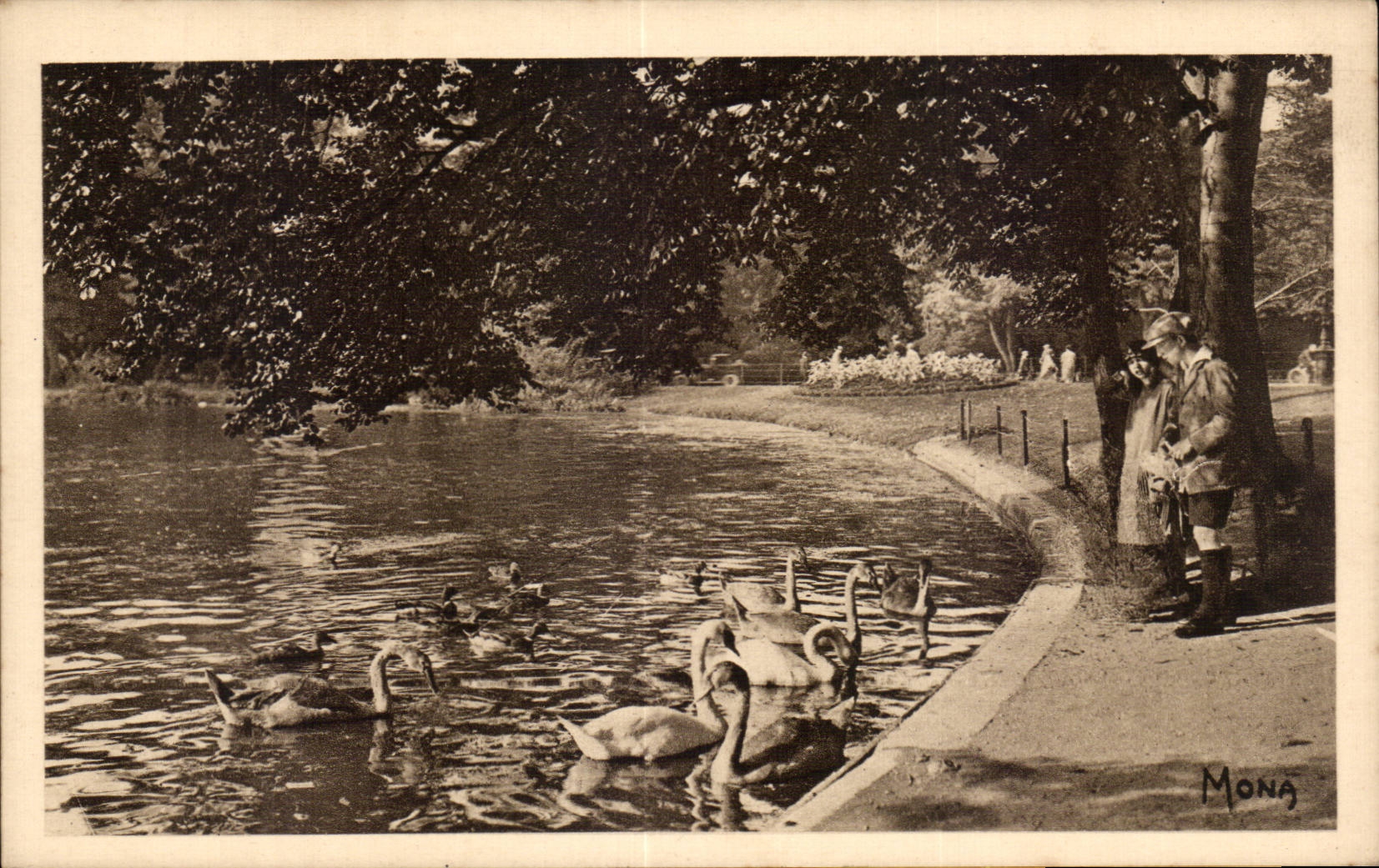 CPA Paris Bois de Boulogne Cygnes sur le lac inferieur