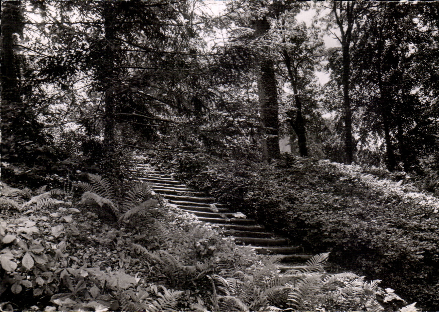 CPSM Bourbonne les Bains Park of the casino