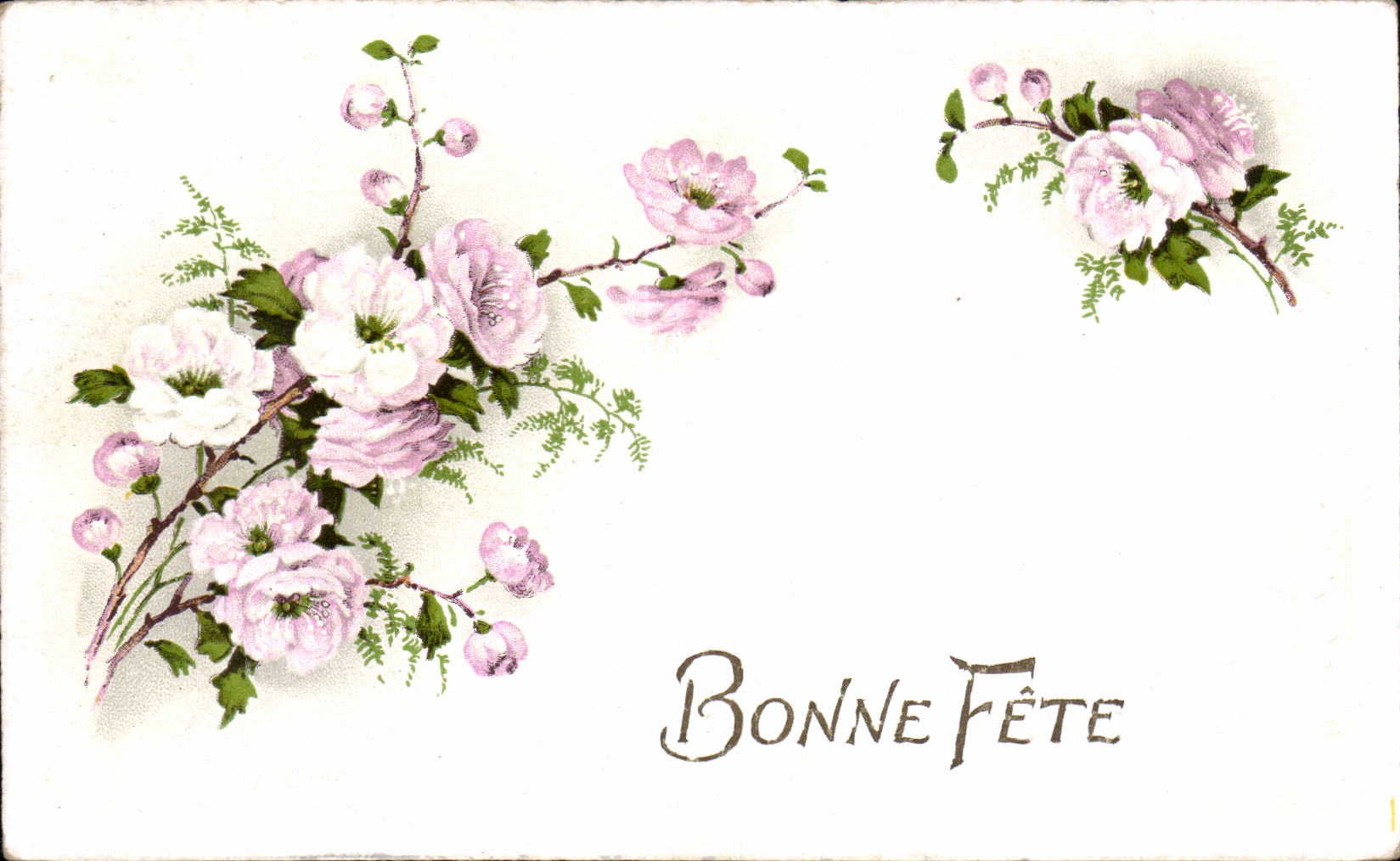 - Fleurs - Bonne Fete - Happy Birthday - CPA 