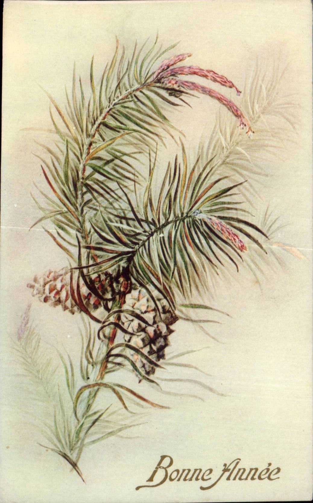 - Fleurs - Bonne Annee - Happy New Year - CPA 