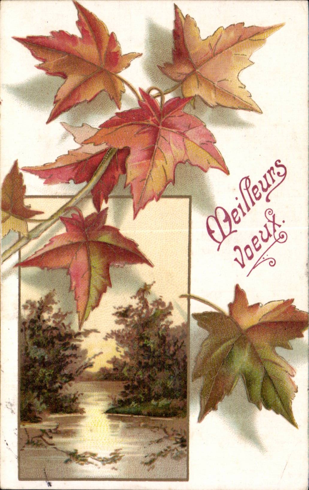 Fleurs Meilleurs Voeux - CPA 