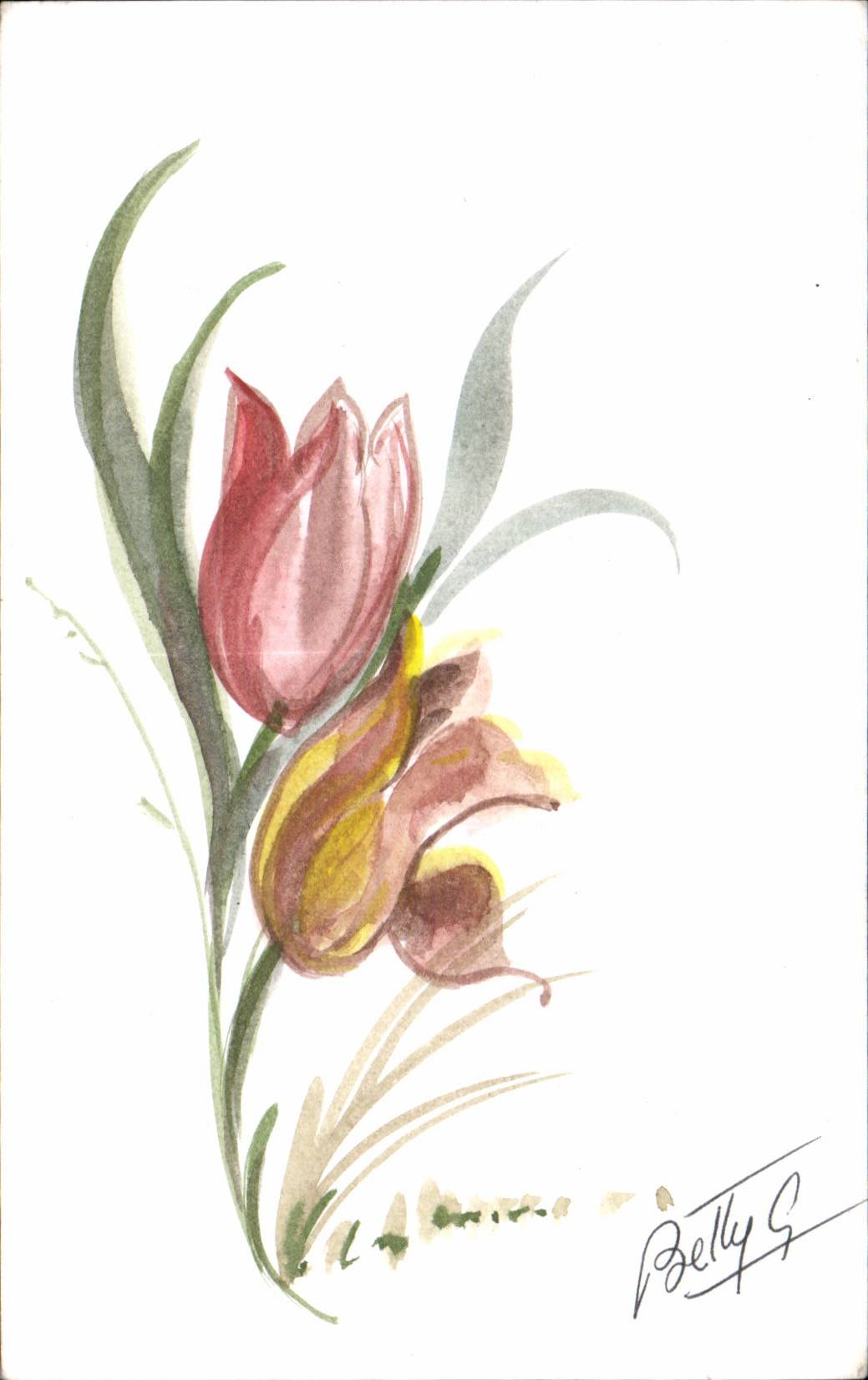 Fleurs Tulipe - Tulip - CPA 