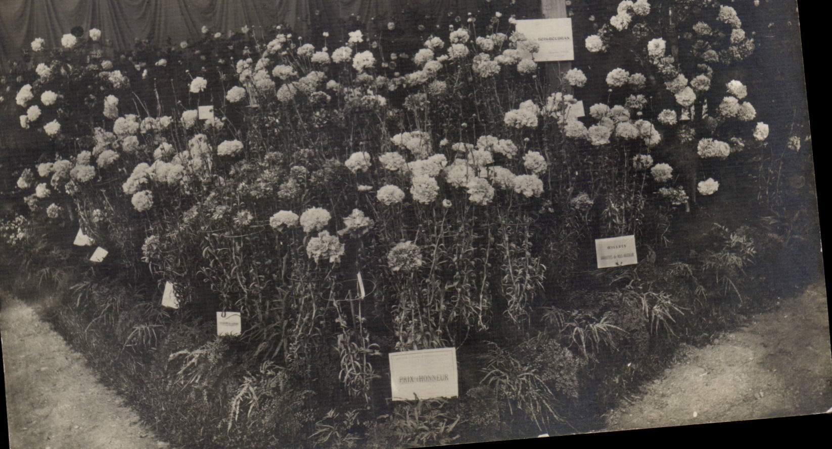 Jardin de flores - jardin - CPA