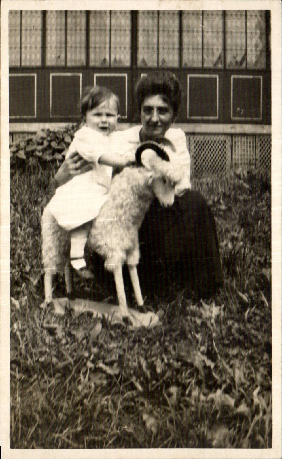 Real photo Child on a sheep