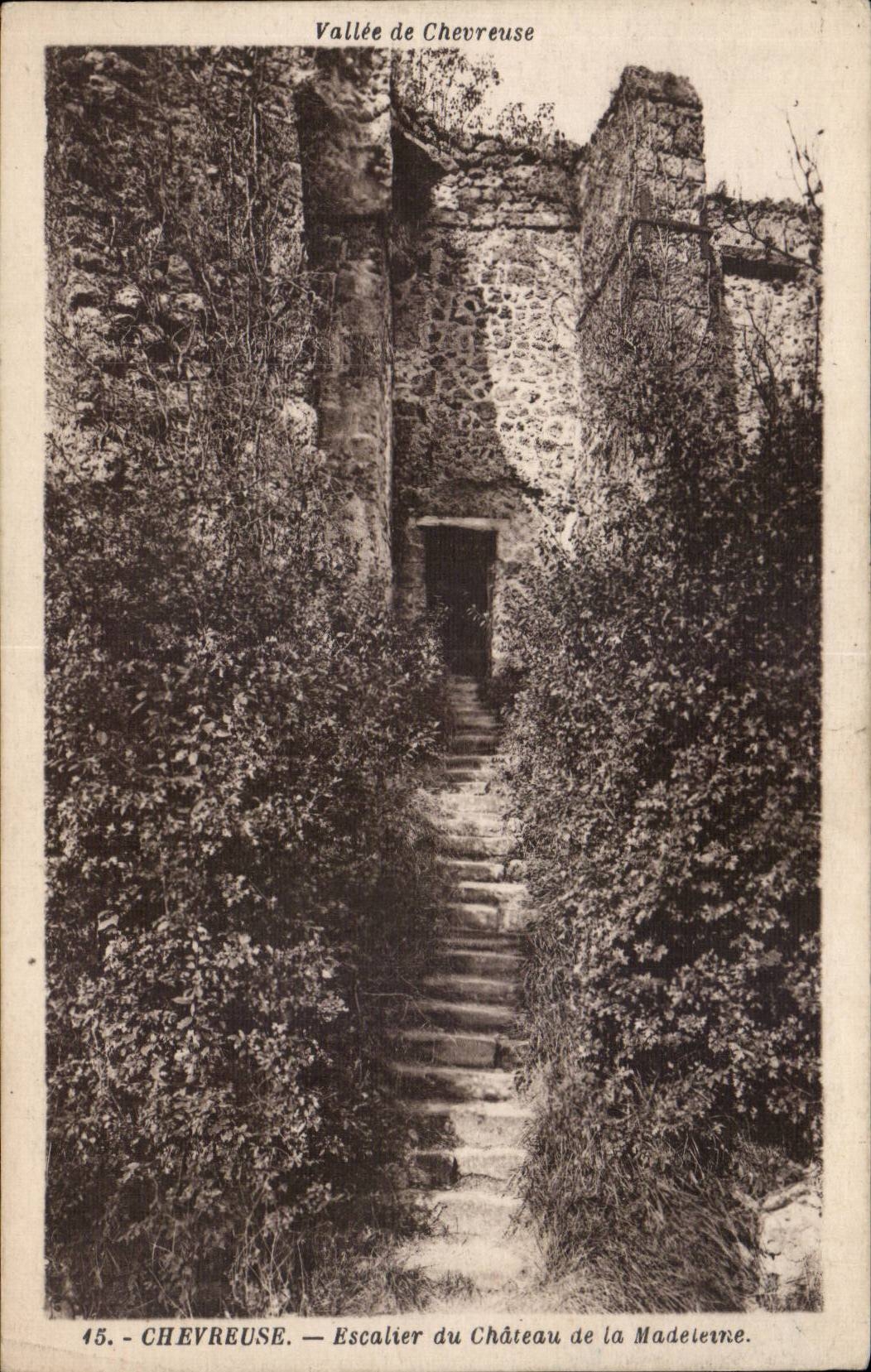 Chevreuse - Escalier du Chateau de la Madeleine - CPA 