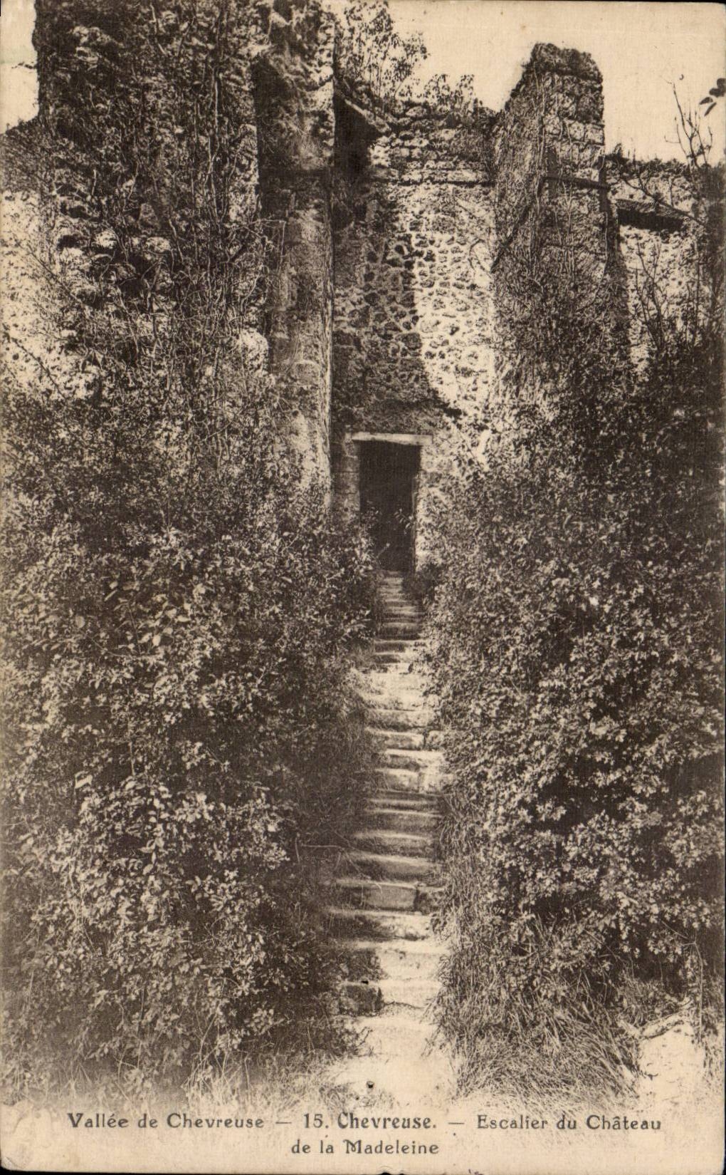 Chevreuse - Escalier du Chateau de la Madeleine - CPA