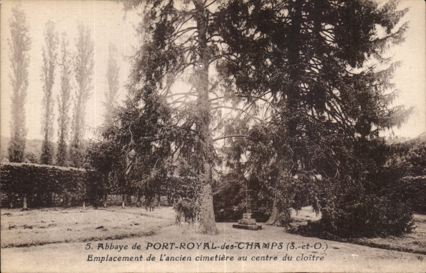 Abbey of Royal Port of the Fields - Old cemetery in the center of the cloister - CPA