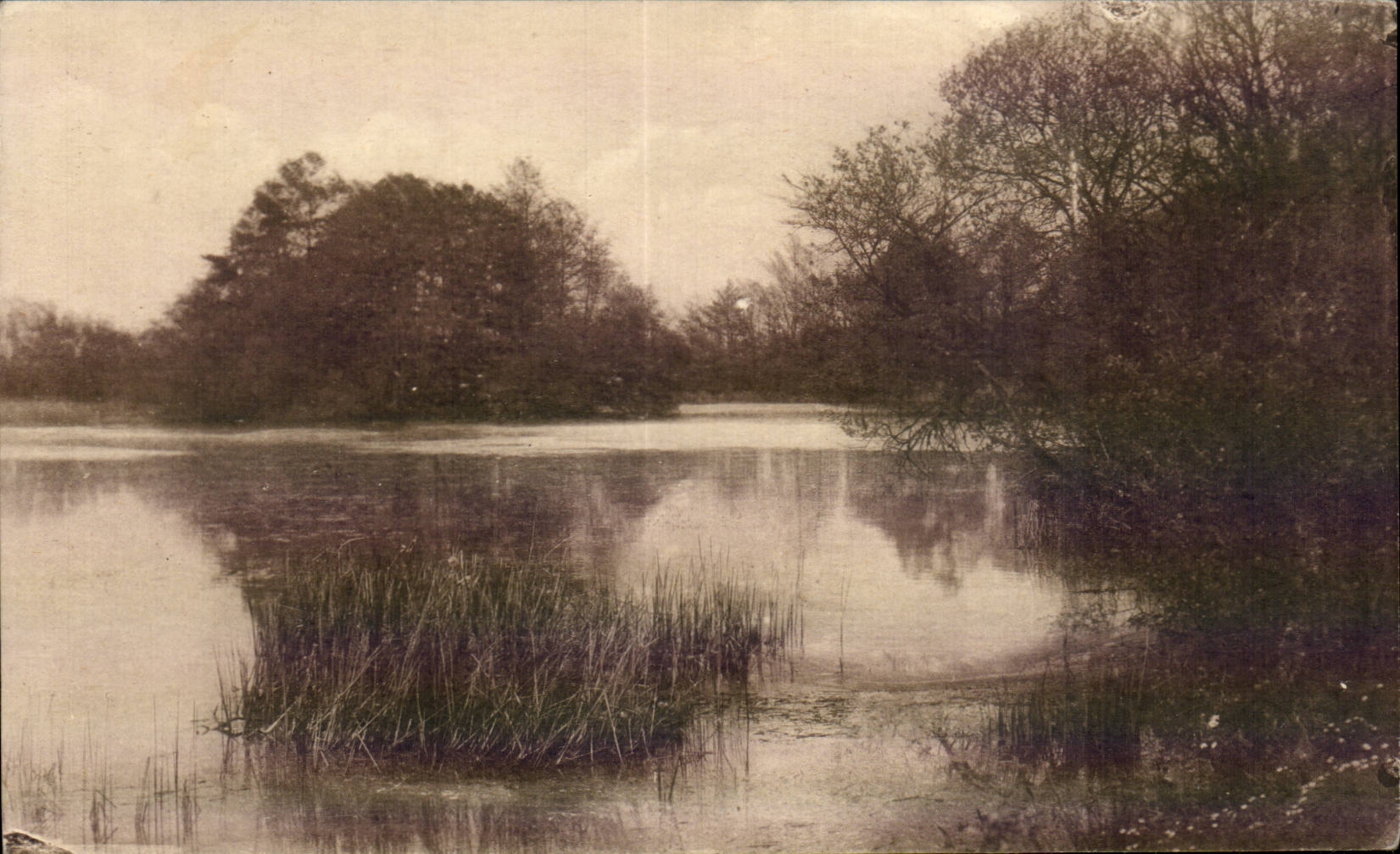 CPA Montfort l Amaury L etang de la plaine