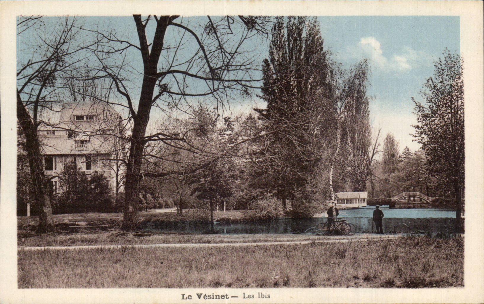 CPA Le Vesinet Les ibis