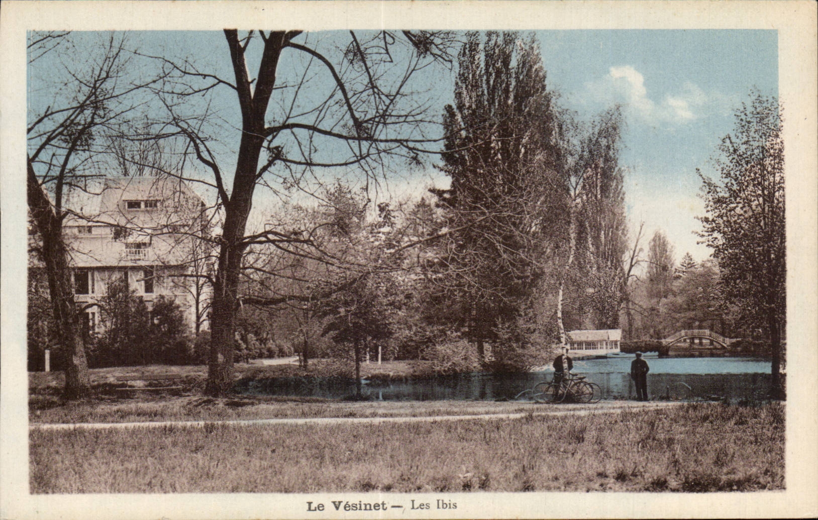 CPA Le Vesinet Les Ibis