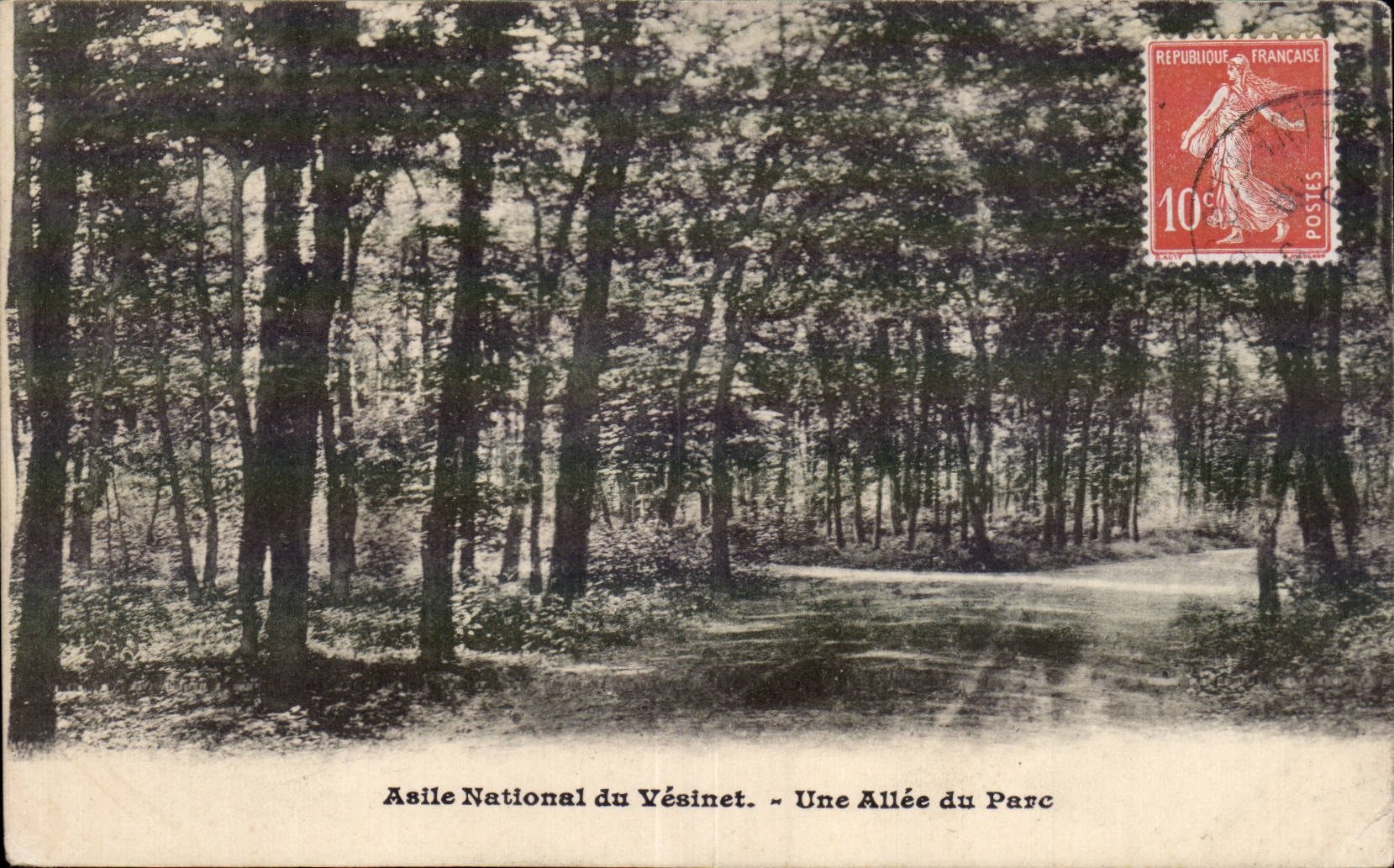 CPA Le Vesinet ASile national Une allee du parc