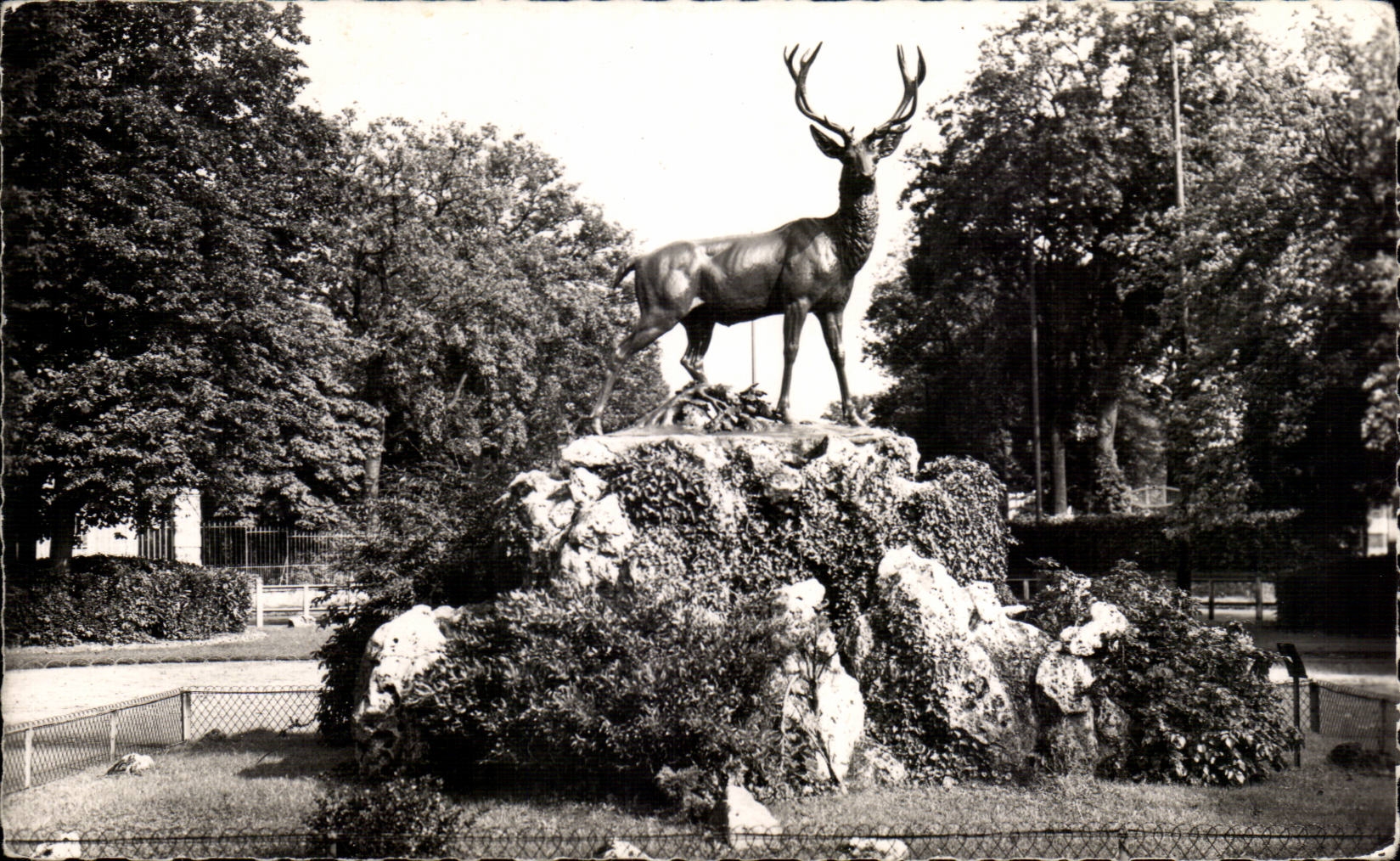 CPSM Le Vesinet Le cerf au rond point royal