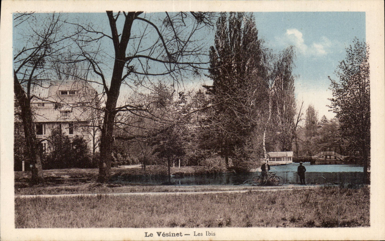CPA Le Vesinet Les Ibis
