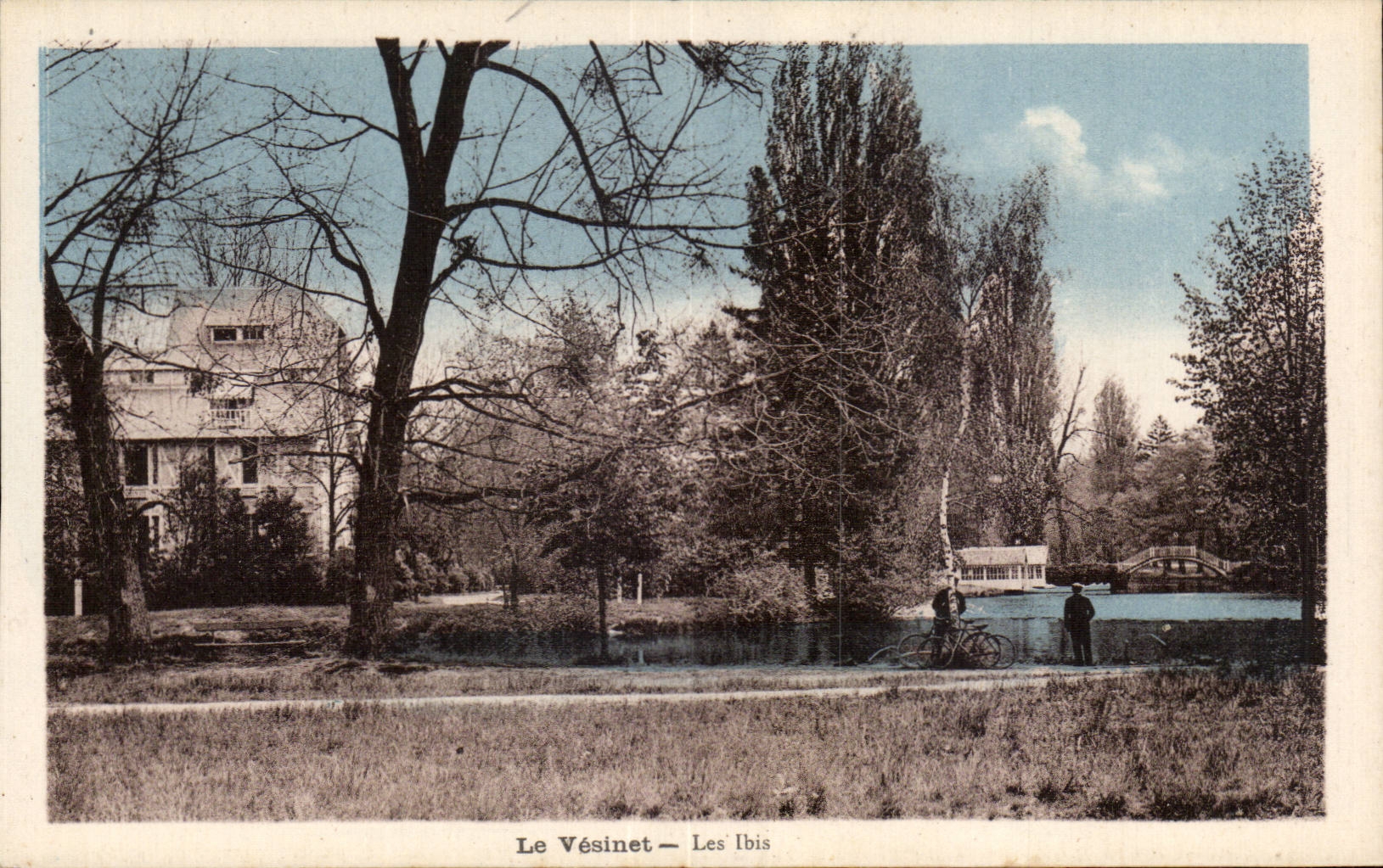 CPA Le Vesinet Les Ibis 