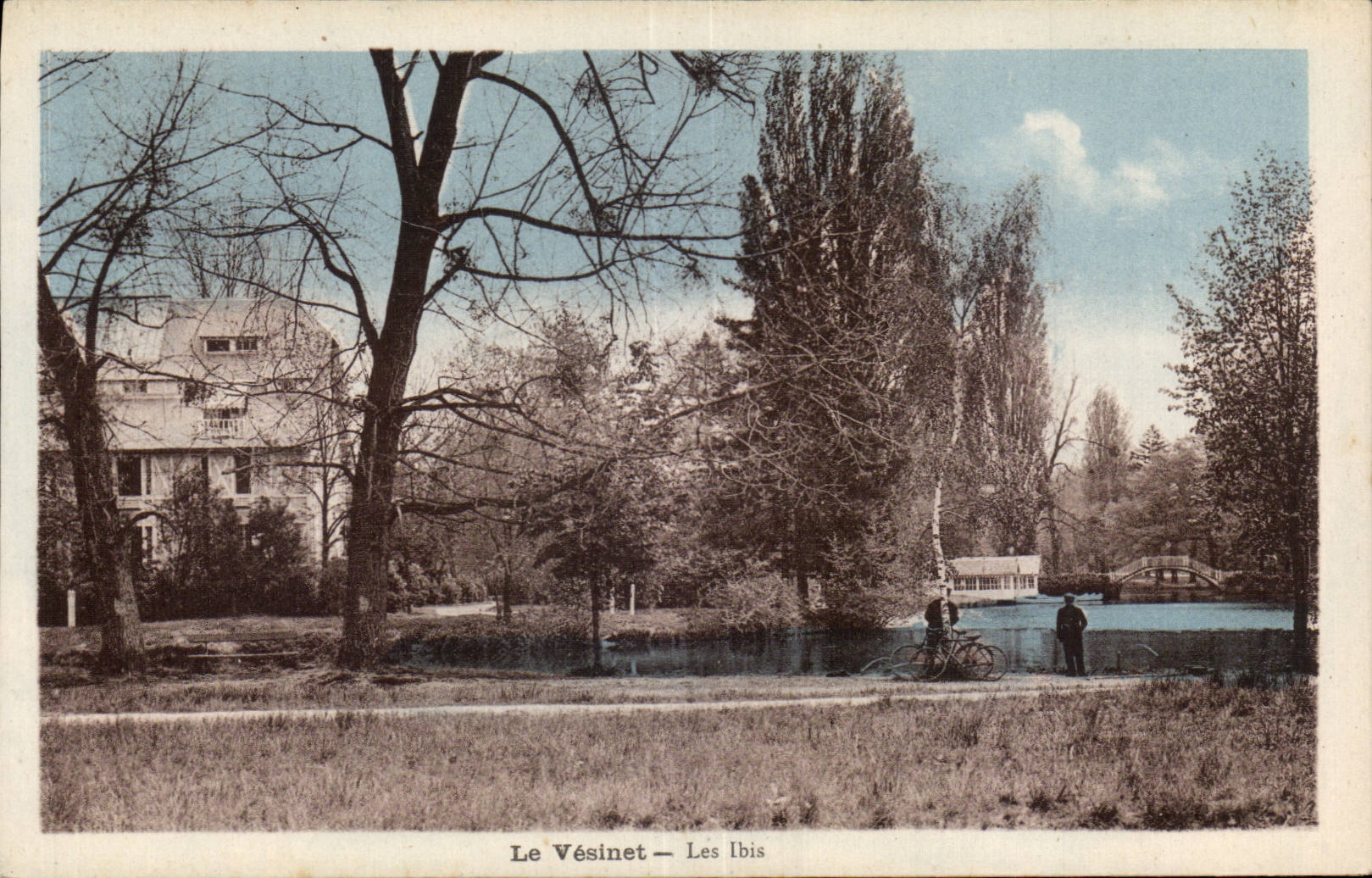 CPA Le Vesinet Les Ibis