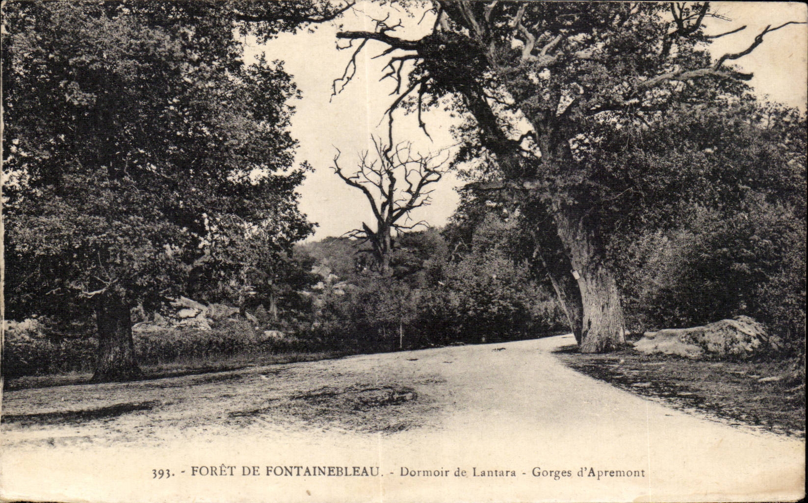 CPA Fontainebleau Dormoir de Lantara Gorges d Apremont