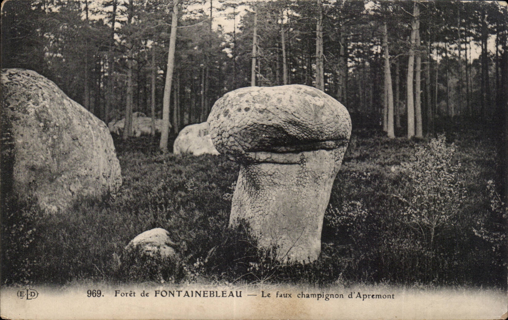 CPA Foret de Fontainebleau le faux champignon d Apremont