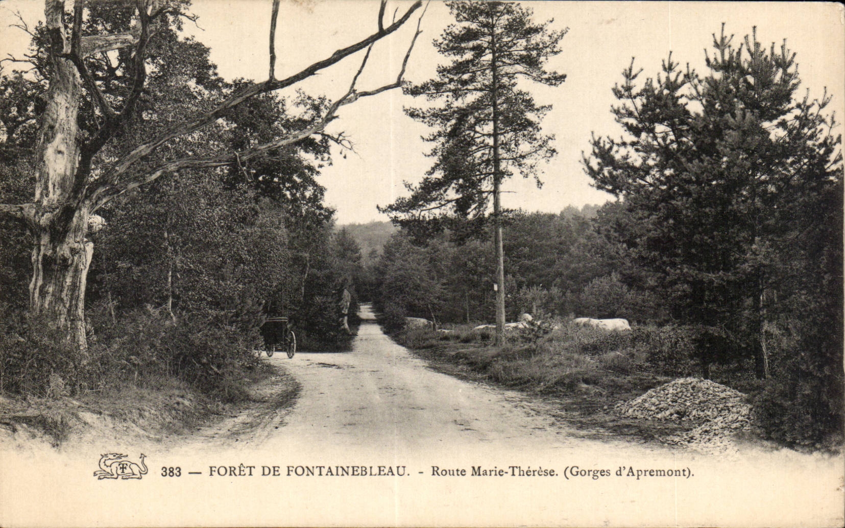 CPA Foret de Fontainebleau Route Marie Therese (gorges d Apremont)