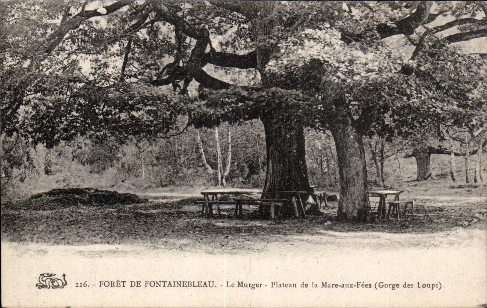 CPA Foret de Fontainebleau Le Murger Plateau de la Mare aux fees (gorge des loups)