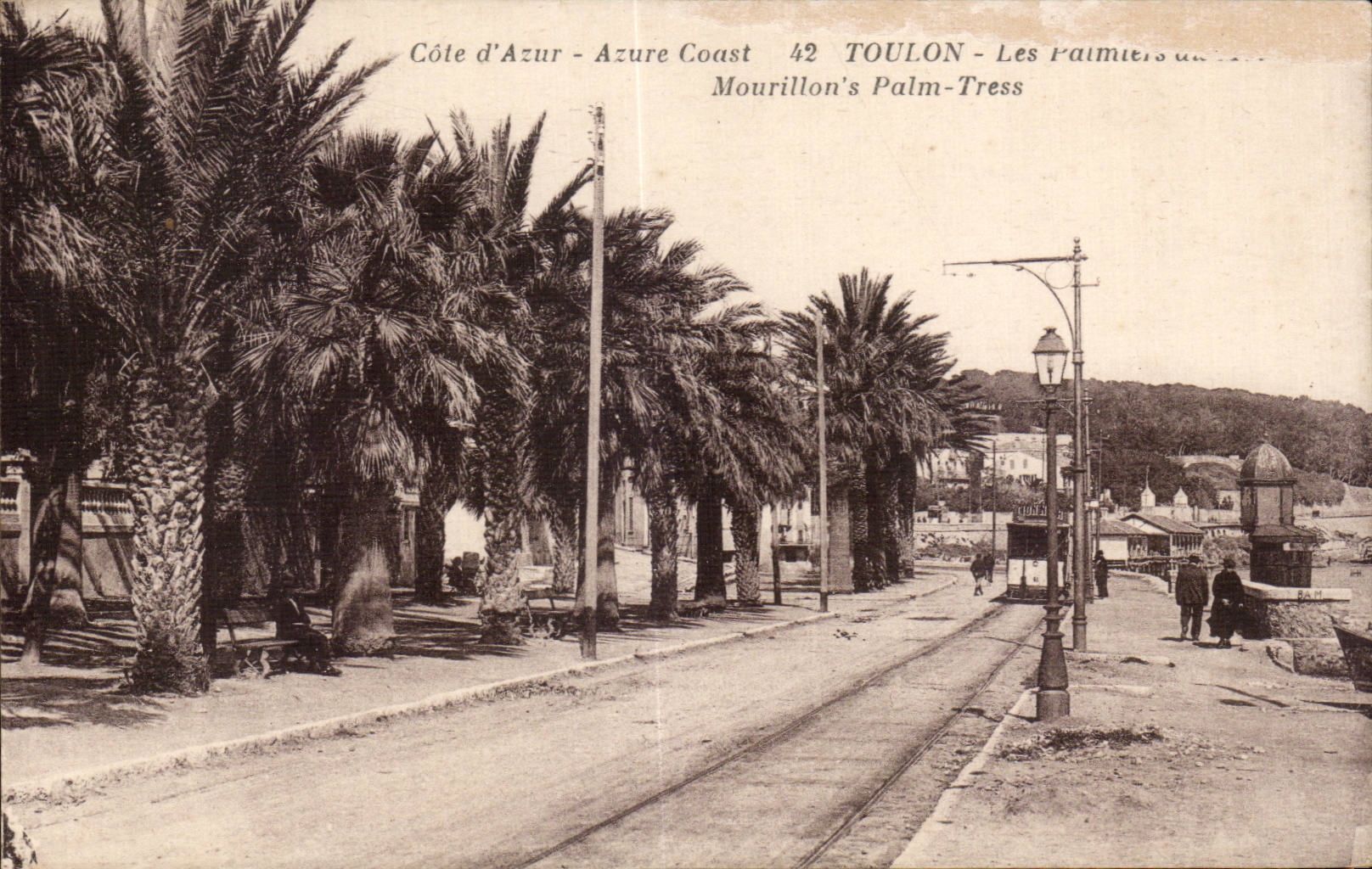 CPA Toulon palm trees