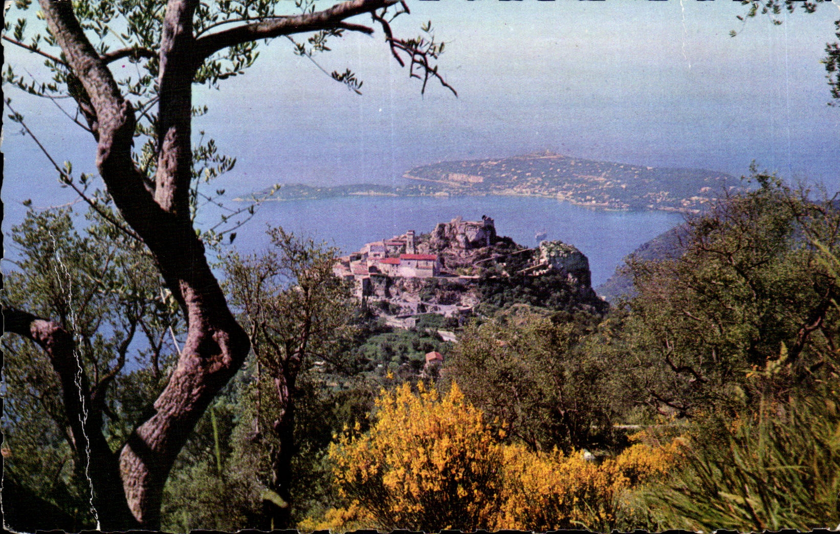 Eze - Le Pittoresque Village - CPA 