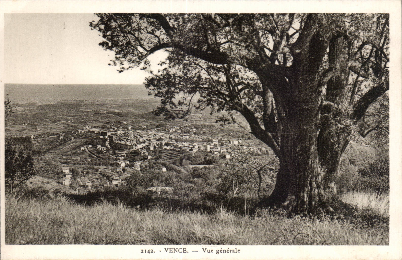 Vence - Vue Generale - CPA 