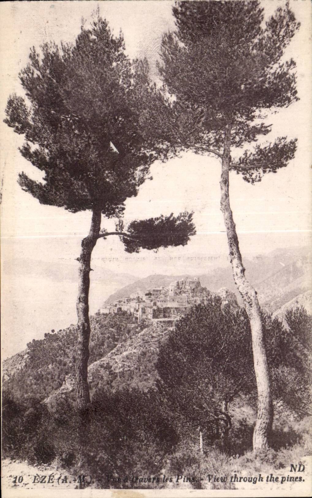 Eze - Les Pins - CPA 