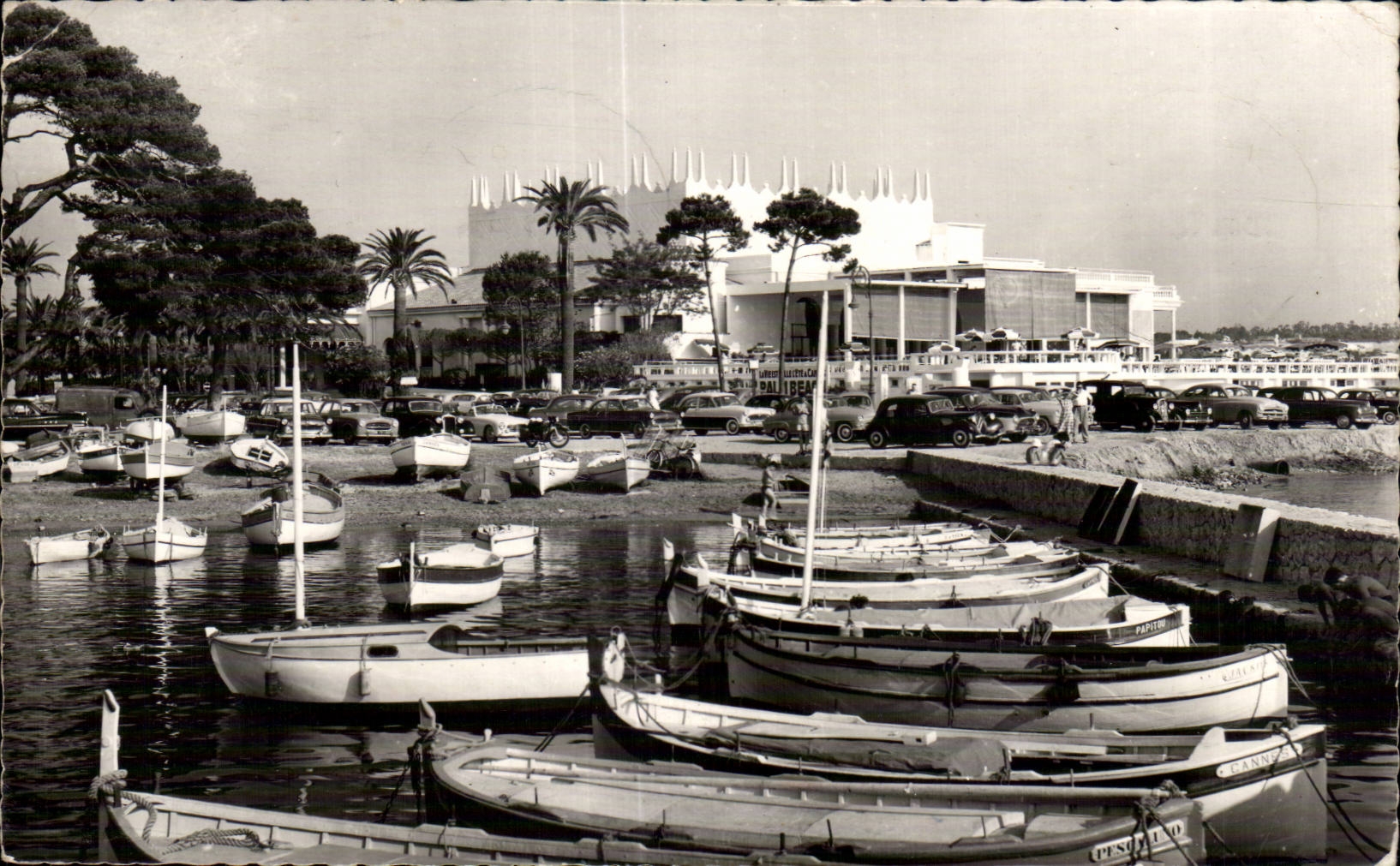 Cannes - the Palm Beach - CPA