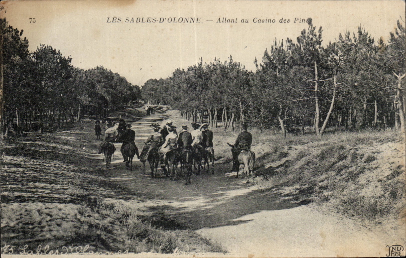 Arenas Olonne - yendo al casino de los pinos - asno - burro - CPA