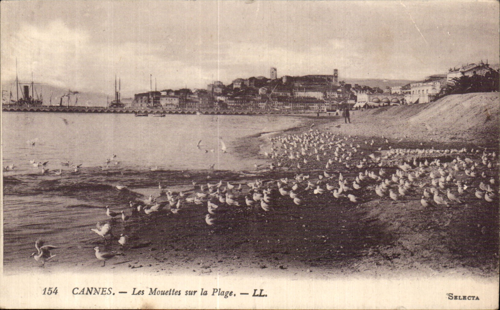 Cannes - Gulls on the Beach - CPA