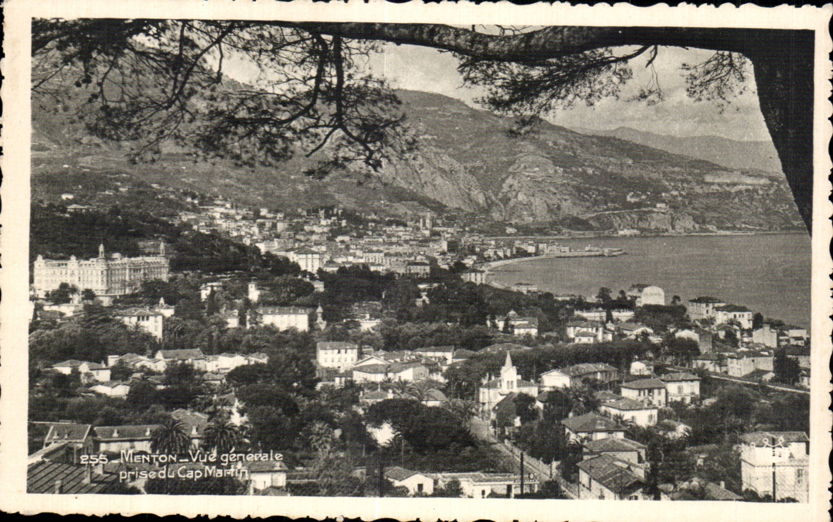 Menton - Vue Generale - CPA 