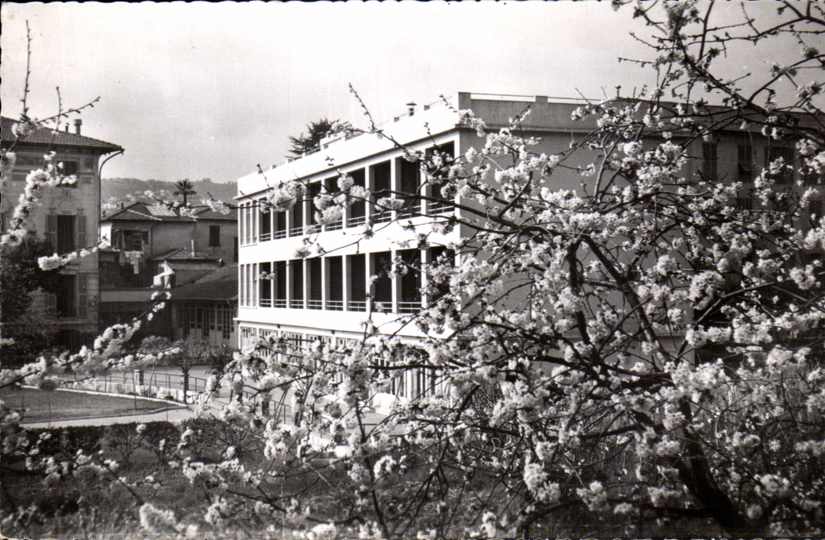 - Santo Dominique del hogar - 18 acacias agradables del DES de la avenida - CPA