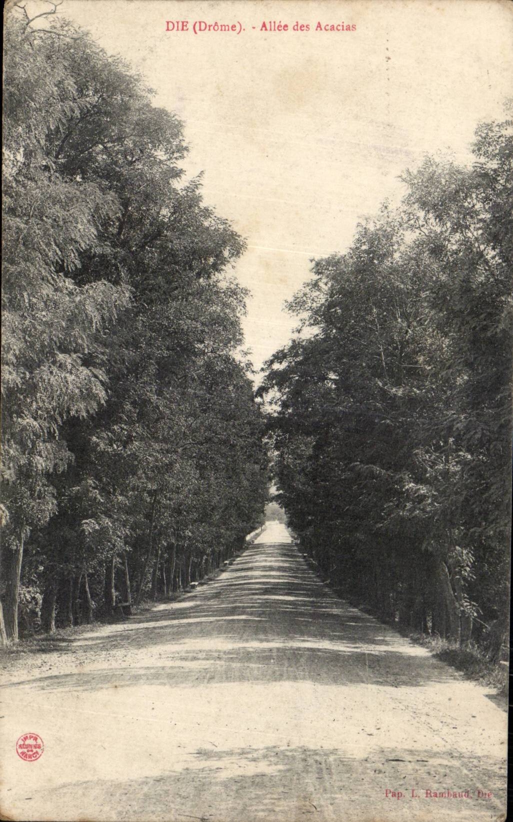 CPA Die Allee des acacias