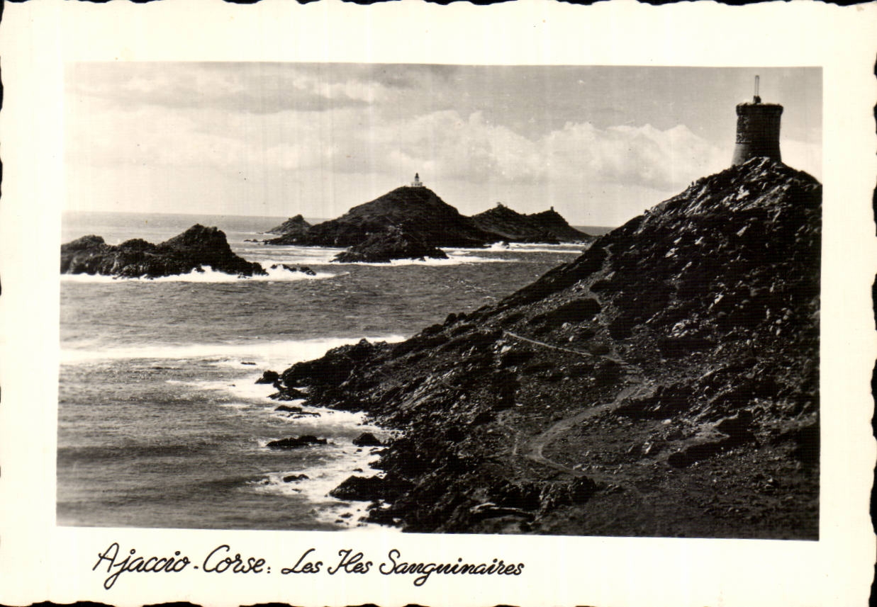 Corsica - Corsica - Ajaccio - Islands - CPSM