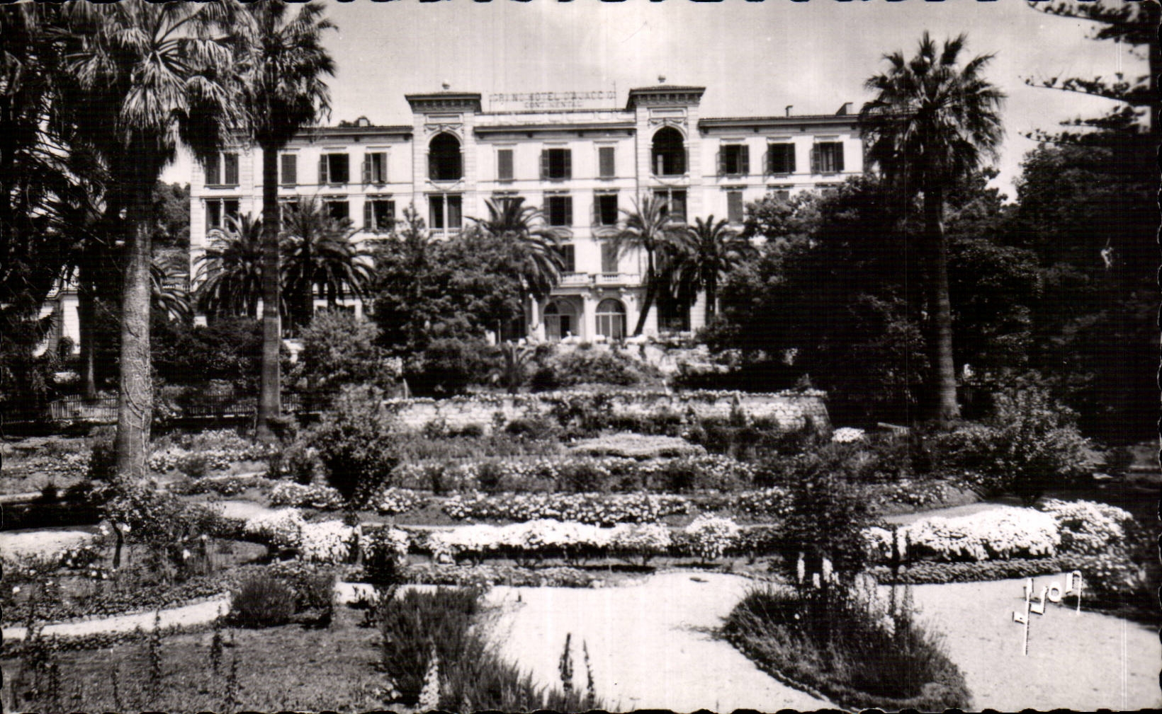 Corsica Corsica Ajaccio gardens of the large hotel and Continental CPSM