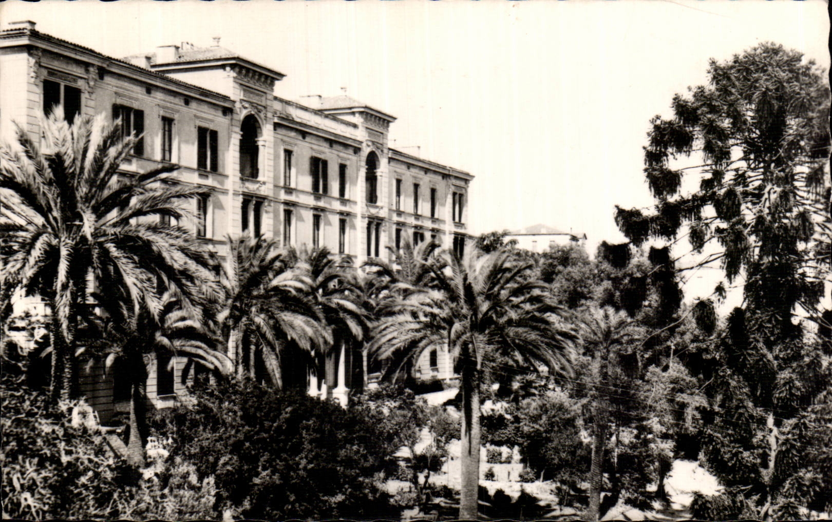 Corsica CPSM Corsica Ajaccio the large Continental hotel and its park