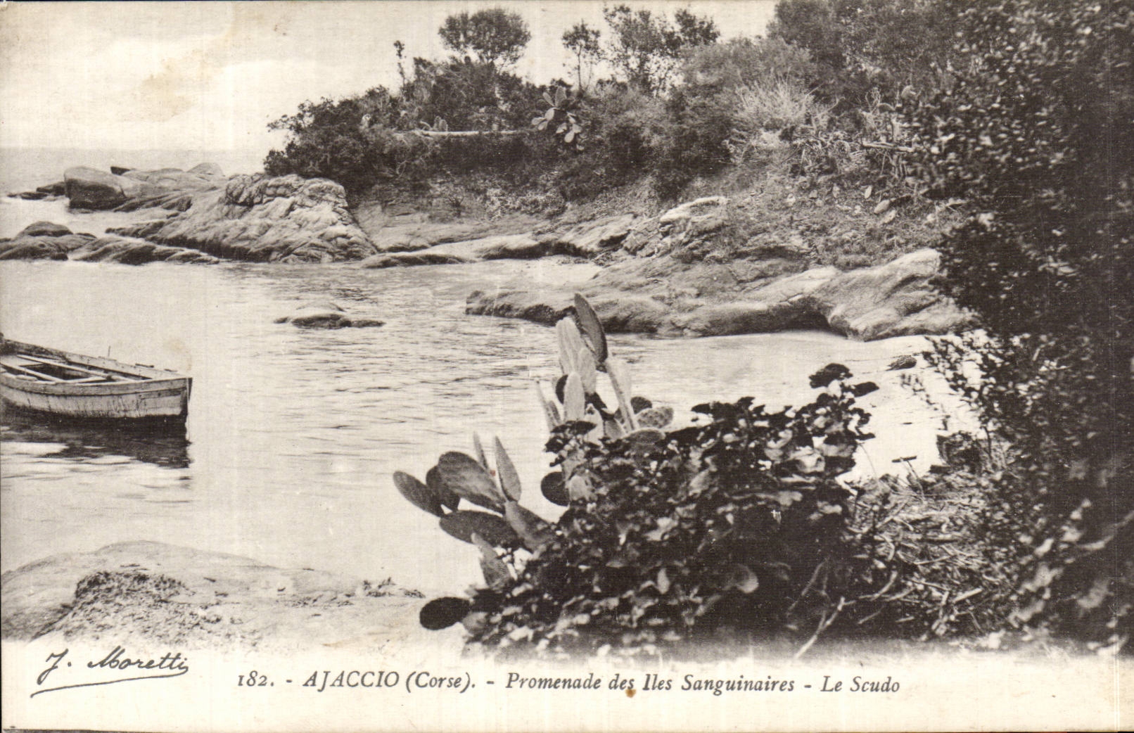 Corsica CPA Corsica Ajaccio Walk of the Sanguinary Islands Scudo