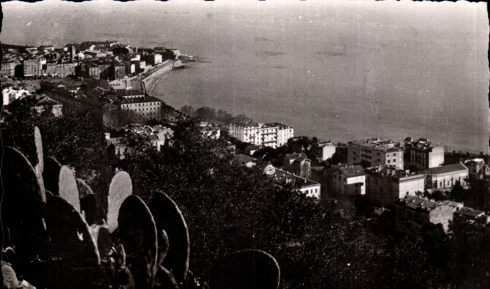 Corsica CPSM Corsica Ajaccio