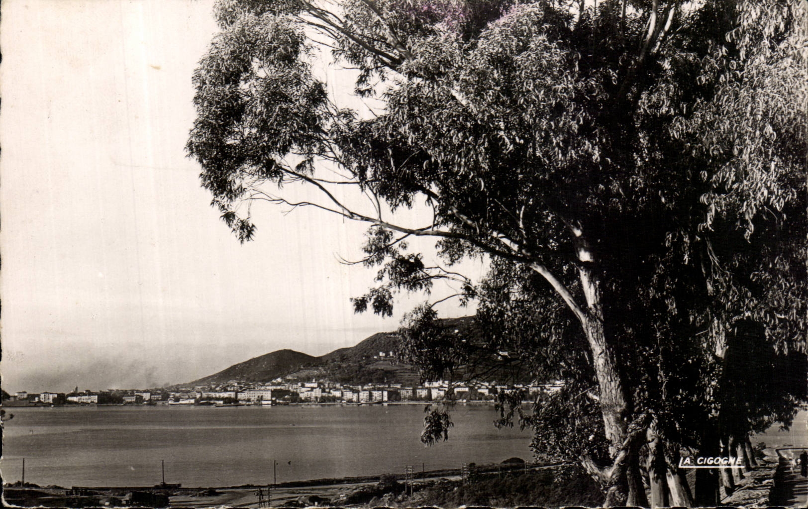 Corsica CPSM Corsica Ajaccio Seen of the Saltworks