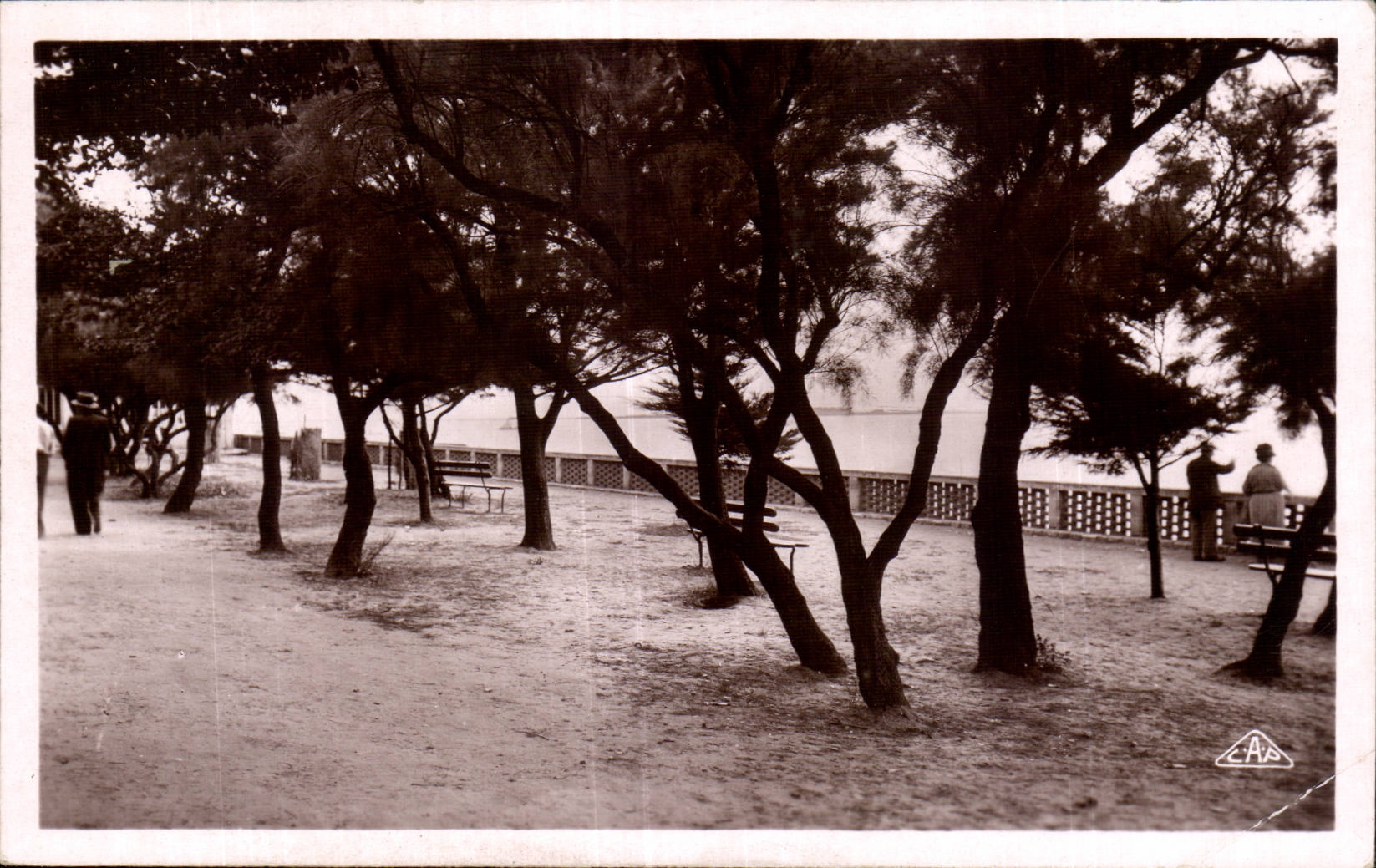Fouras les Bains - Les Sepinettes - CPA 