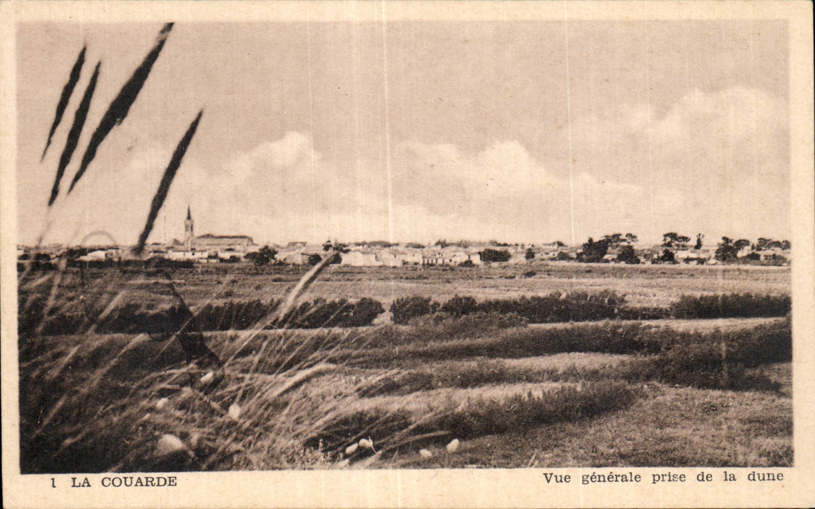 La Couarde - Vue Generale prise de la dune - CPA 
