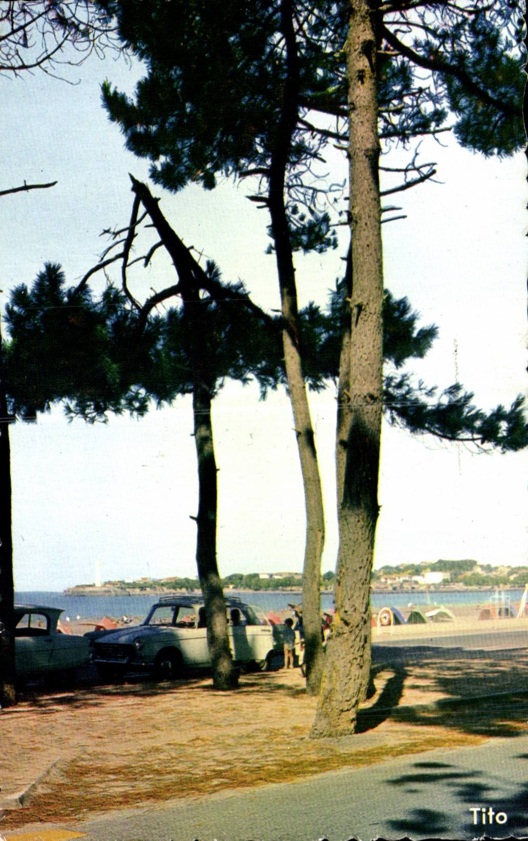 Saint Georges de Didonne - La Pointe du Phare - CPA