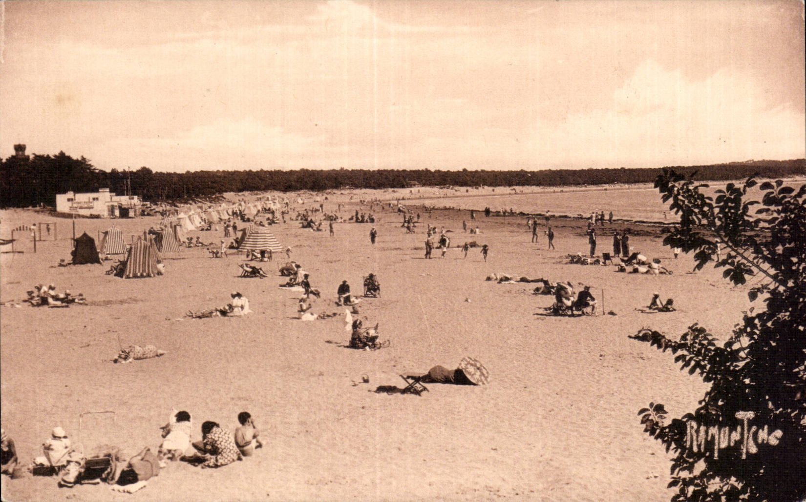 St Georges de Didonne - La Plage - CPA
